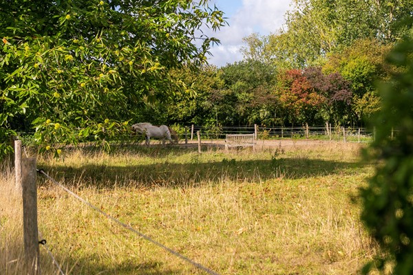 Medium property photo - Ewijkseweg 4, 6611 AG Overasselt